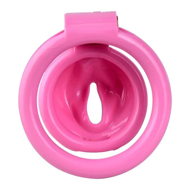 Chastity Cage Sissy Clit