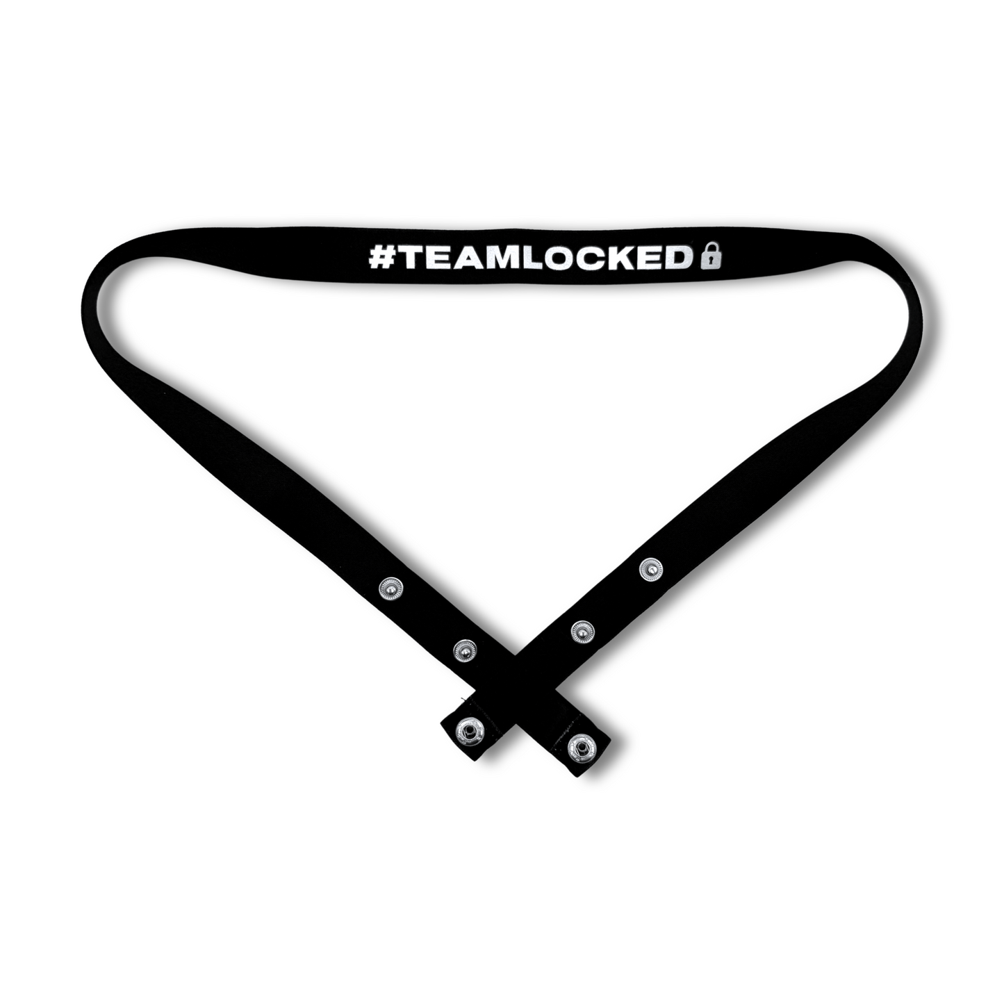 Kinky Chastity Belts