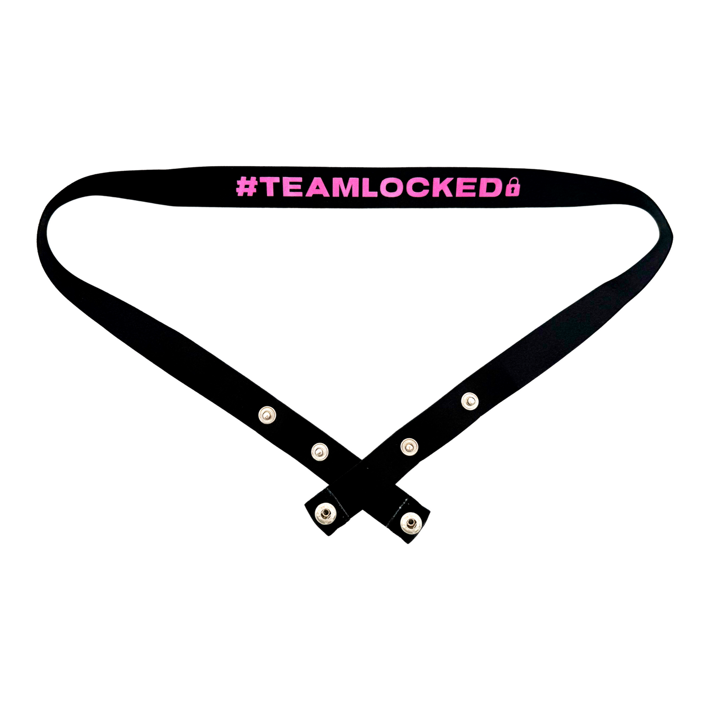 Kinky Chastity Belts