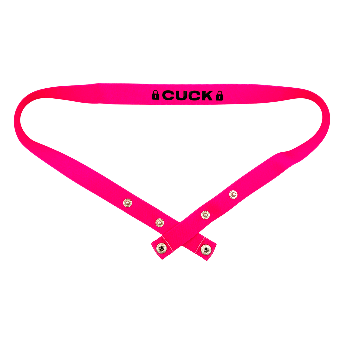 Kinky Chastity Belts