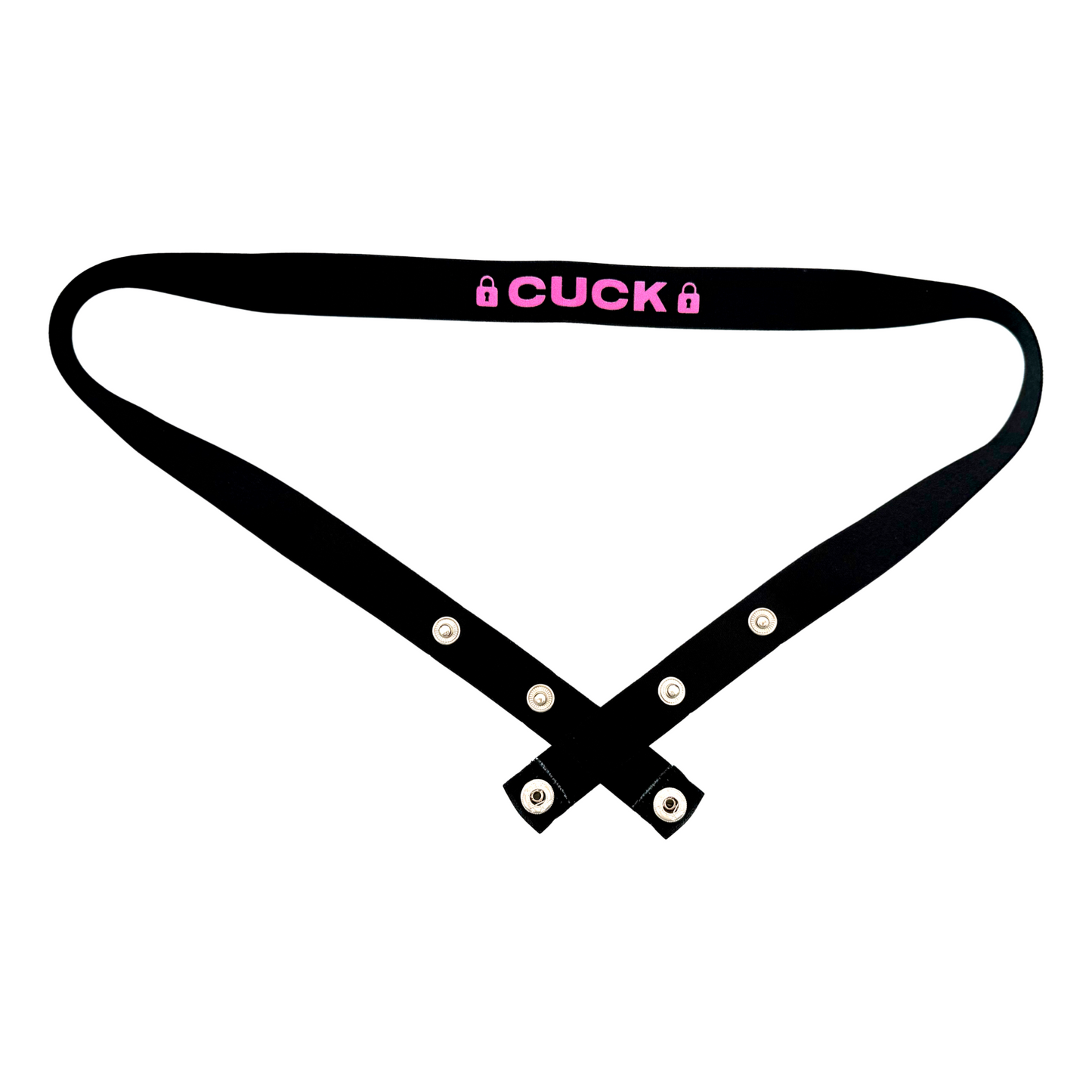 Kinky Chastity Belts