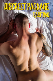 Discreet Package (Part Two)