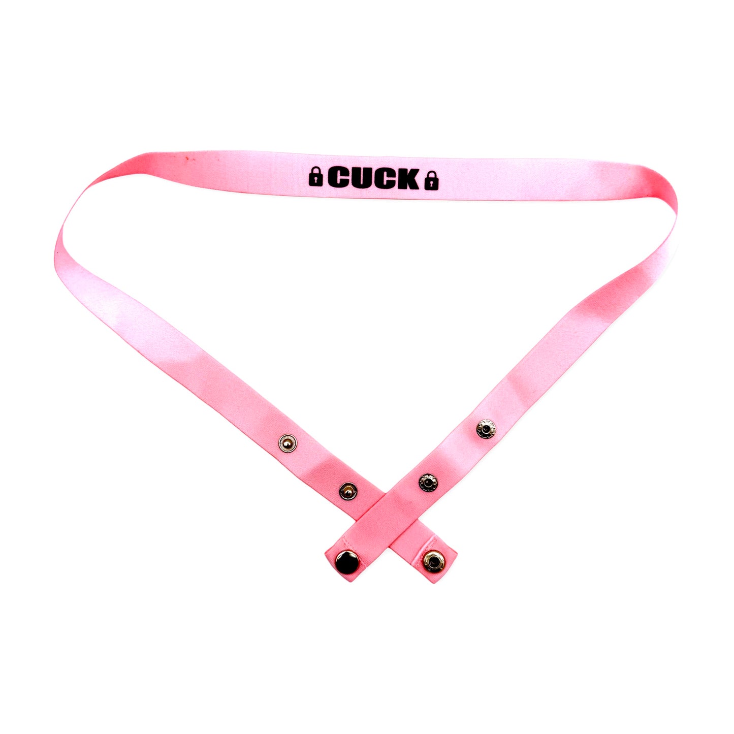 Kinky Chastity Belts