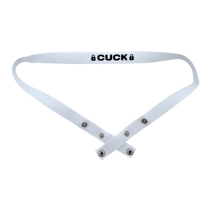 Kinky Chastity Belts