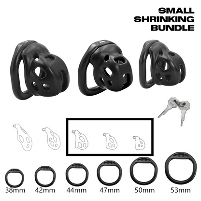 Vault Chastity Cage