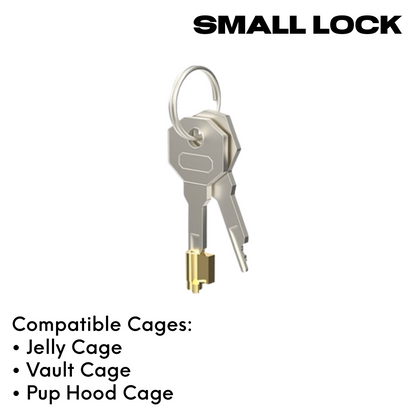 Chastity Lock and Keys