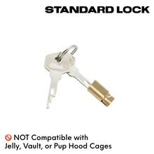 Chastity Lock and Keys